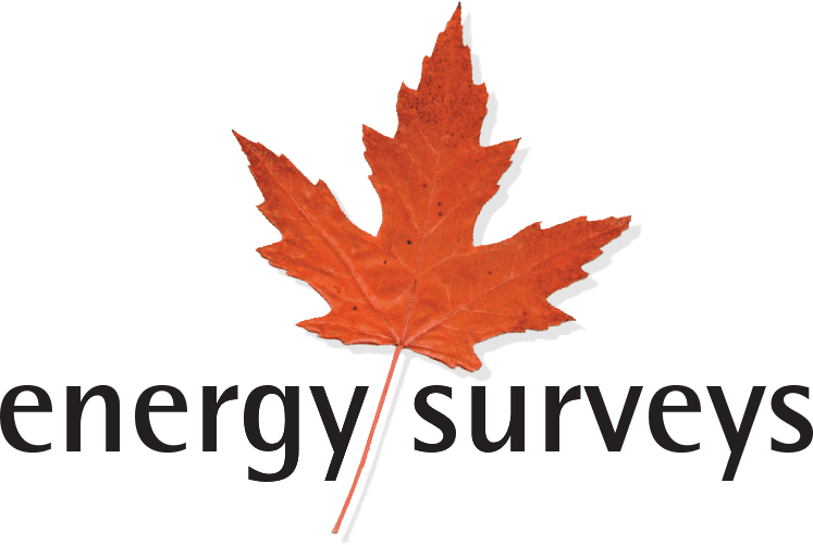 Energy Surveys Logo