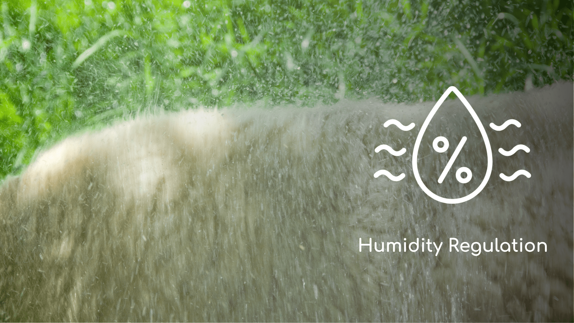 Humidity Regulation